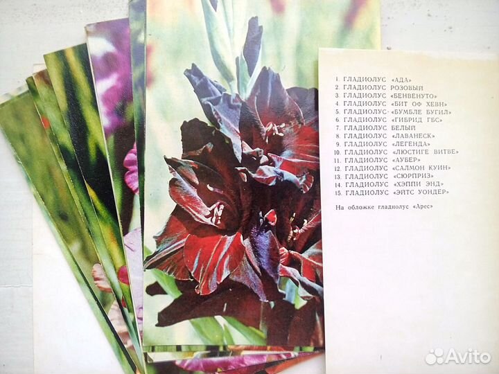 Гладиолусы, набор открыток