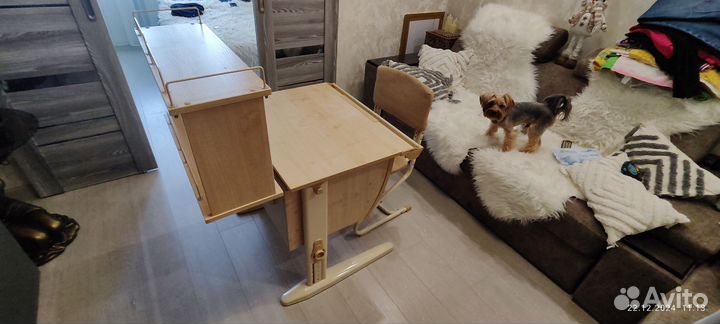 Растущая парта стол и стул деми