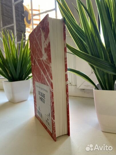 Книга «Особое мясо» Агустина Бастерика