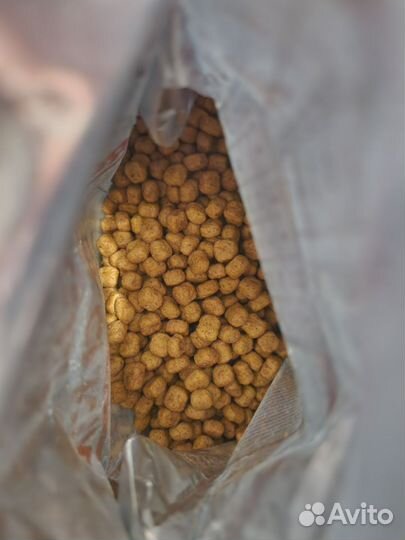 Корм для кошек royal canin renal early