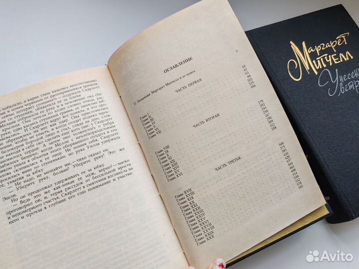 Унесенные ветром