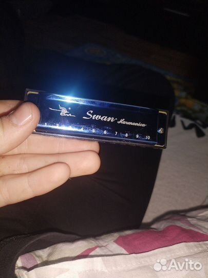 Губная гармошка