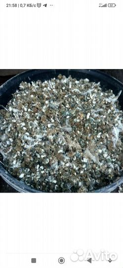 Перепелиный помет