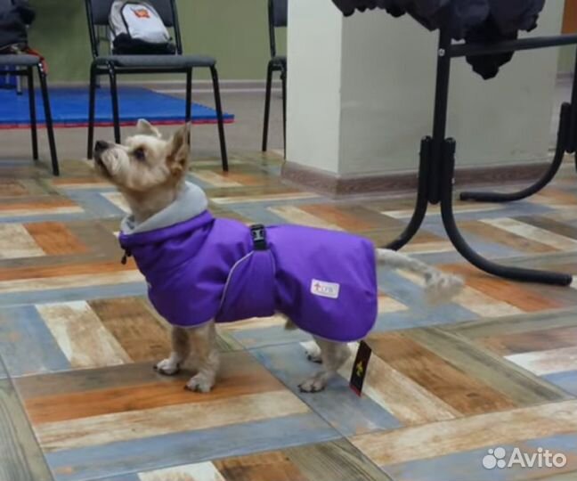 Попона для собак