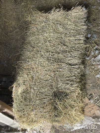 Сено люцерны в тюках