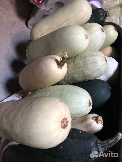 Продажа домашних овощей