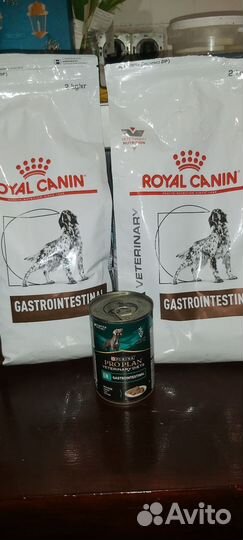 Лечебный корм для собак