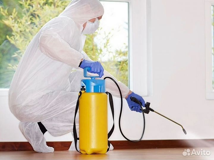 Дезинфекция тараканов, клопов, комаров, крыс мышей