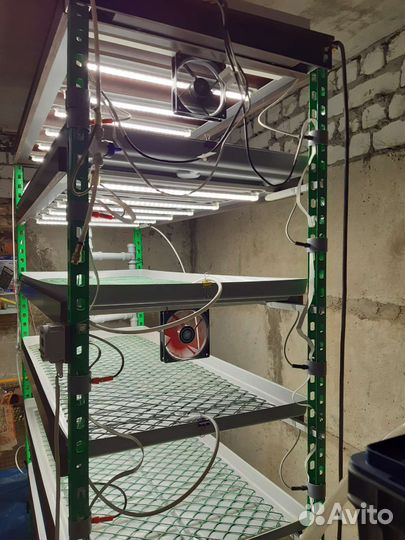 Установка для выращивания микрозелени