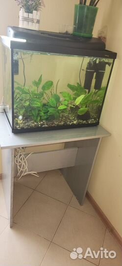 Аквариум