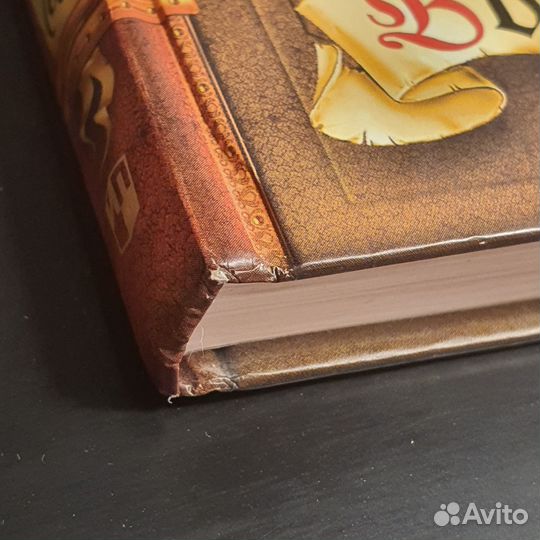 Коты-Воители