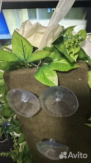 Кольца на свадебный авто