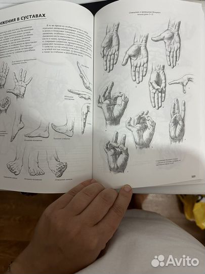 Джованни Чиварди Рисование книга