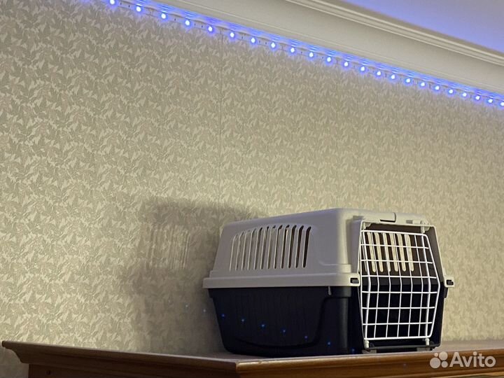 Переноска для животных,когтеточка для кота