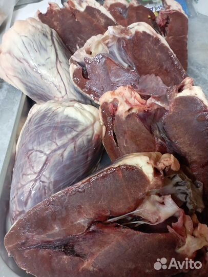 Готовые рационы для собак и кошек