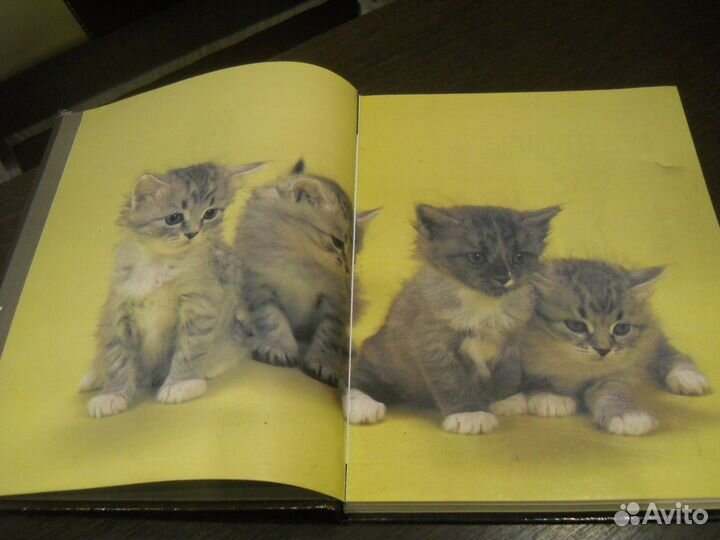 Книга о кошках