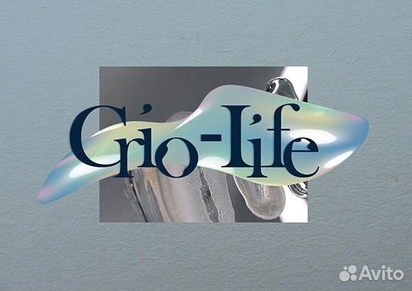 Графический дизайнер, дизайн полиграфия