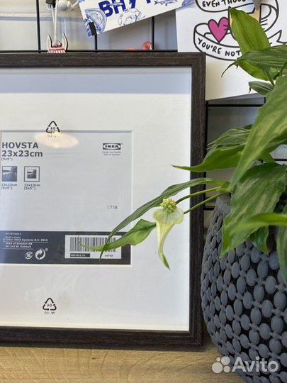 Новая Рамка IKEA hovsta икеа