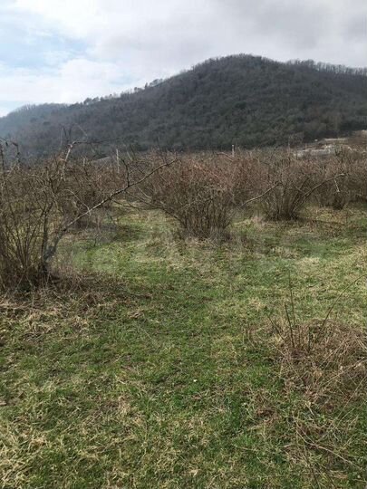 Дача 48 м² на участке 8,7 сот.