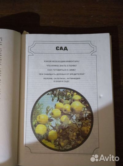 Книга. Усадьба, сад и огород. 1990г