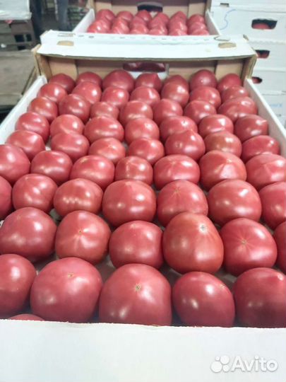 Помидоры