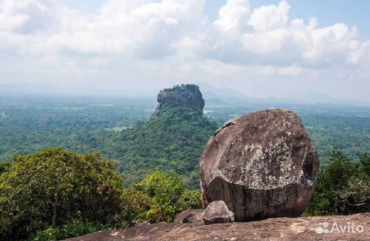 Тур на Шри-Ланку 7 дн