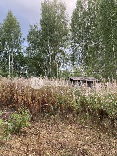 Участок 5,9 сот. (ИЖС)