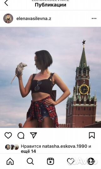 Легендарна крыса IKEA