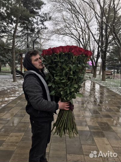 Метровые розы