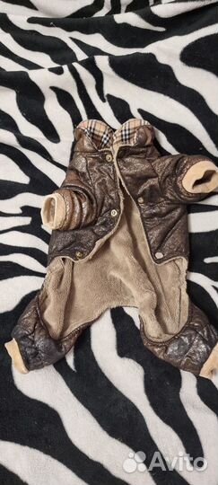 Одежда для маленьких собак