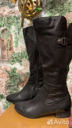 Сапоги женские демисезонные