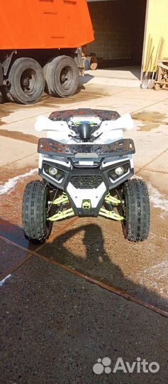 Motoland Shark 125