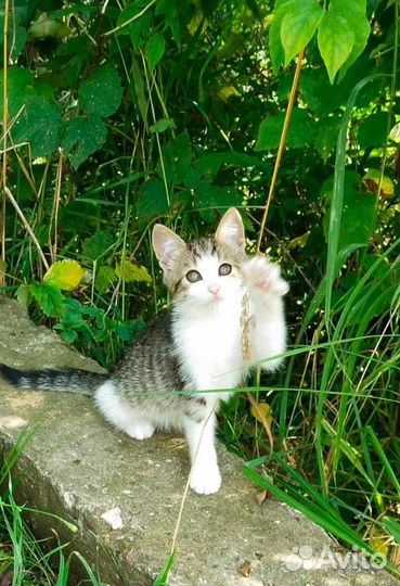 Подбросили к церкви