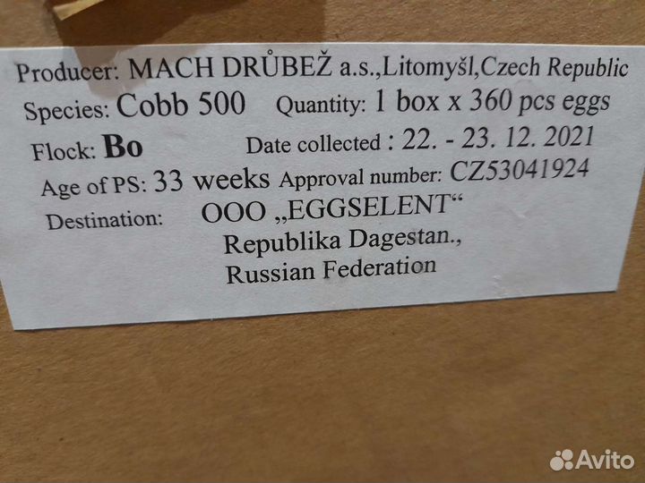 Яйцо инкубационное индейки, бройлера
