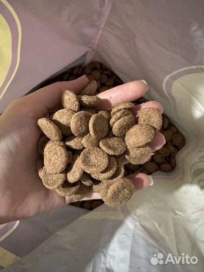 Корм для собак Grand Dog гипоалергенный