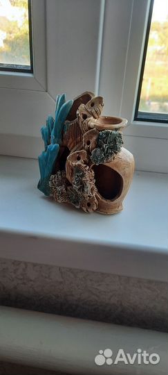 Для аквариума