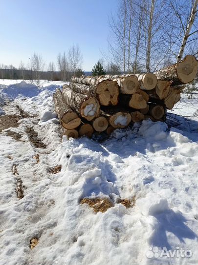 Лес кругляк