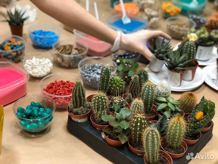 Мастер класс флорариум