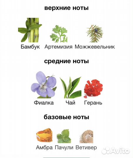 Eau de Lacoste Pour Homme L.12.12. Magnetic 100мл