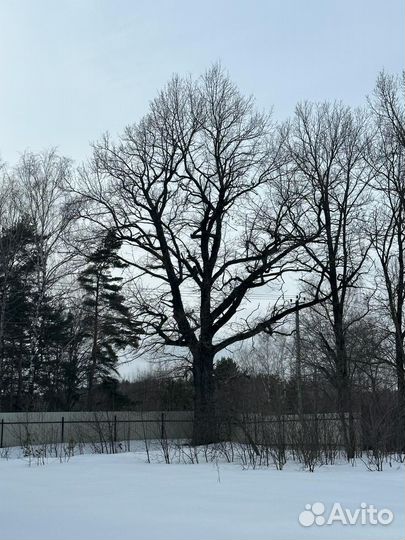 Продам дубРаспил-самовывоз