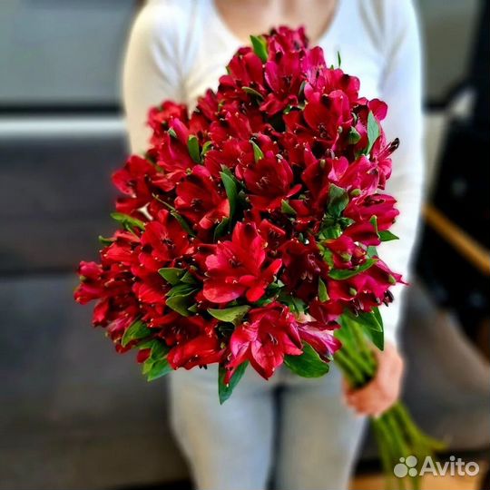 Цветы альстромерии опт