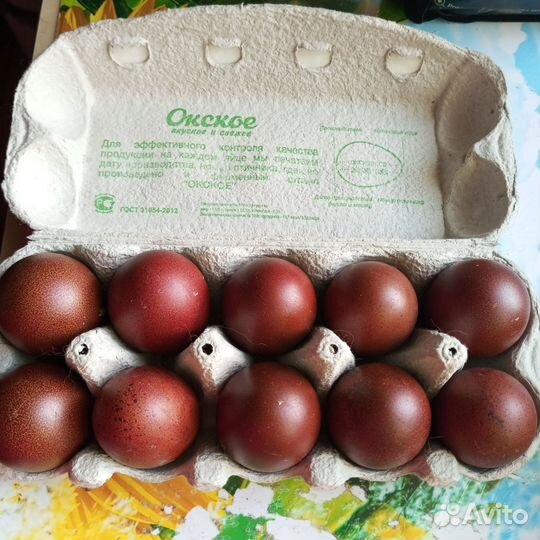 Северокавказские индюшки