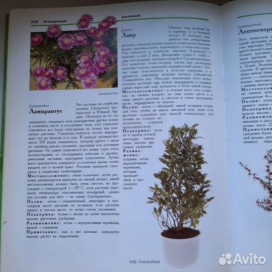 Книга о цветах