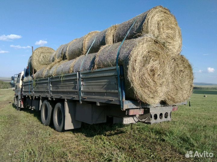 Сено,солома зелень отличного качества