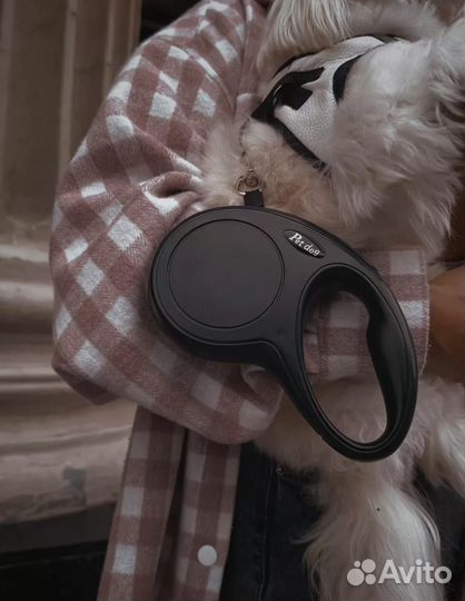 Поводок рулетка для собак 5 м