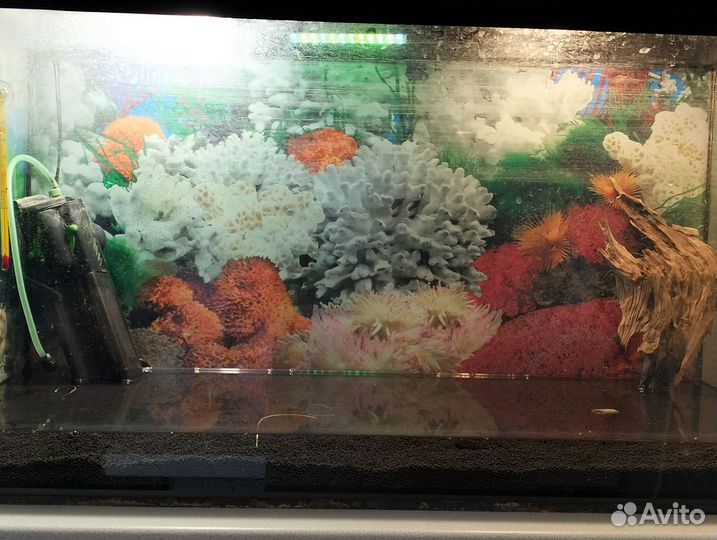 Аквариум 70 литров с оборудованием