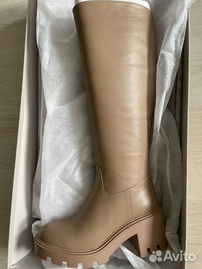 Сапоги Эконика демисезонные