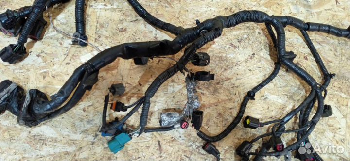 Проводка двигателя Ford Focus 2 2004