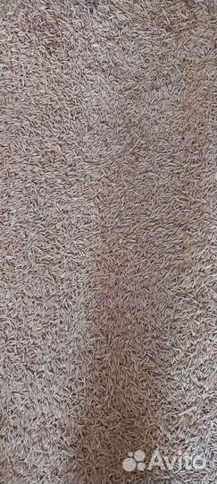 Корма для животных