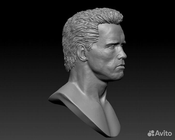 Терминатор 1/6